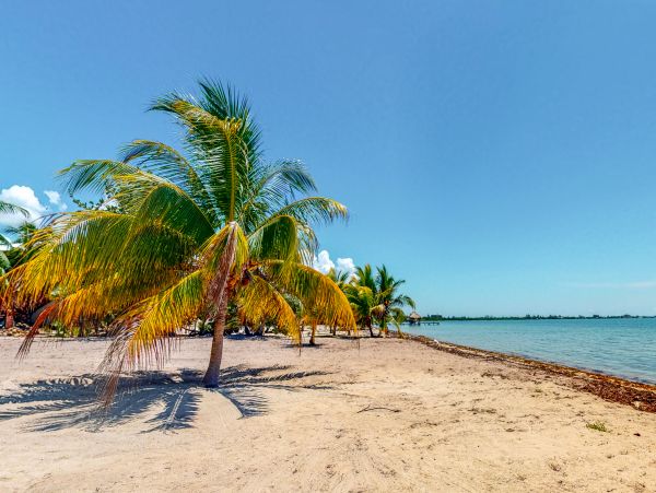 Ambergris Caye Home 1008107