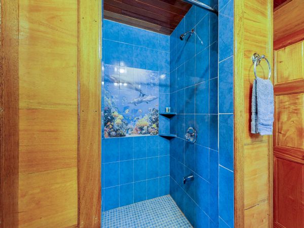 Ambergris Caye Home 1008108