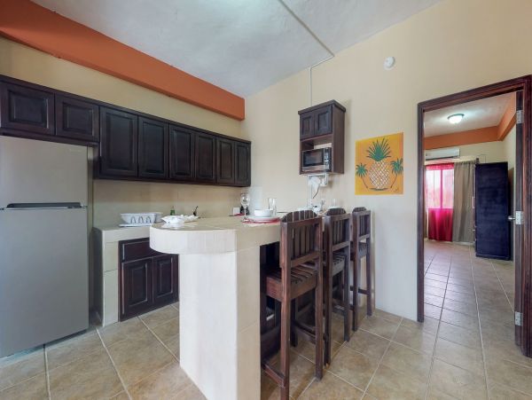 Ambergris Caye Home 1008109