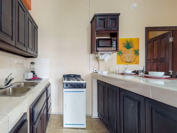 Ambergris Caye Home 1008109