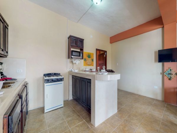 Ambergris Caye Home 1008109