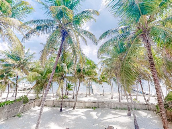 Ambergris Caye Home 1008120