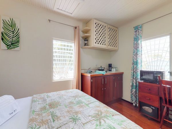 Ambergris Caye Home 1008136