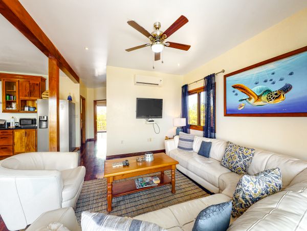 Ambergris Caye Home 1008137