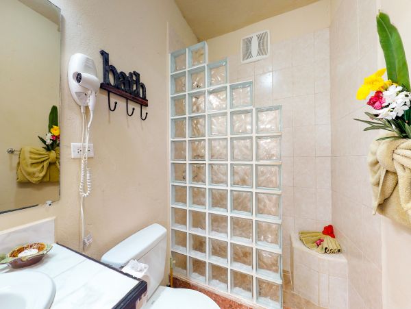 Ambergris Caye Home 1008154