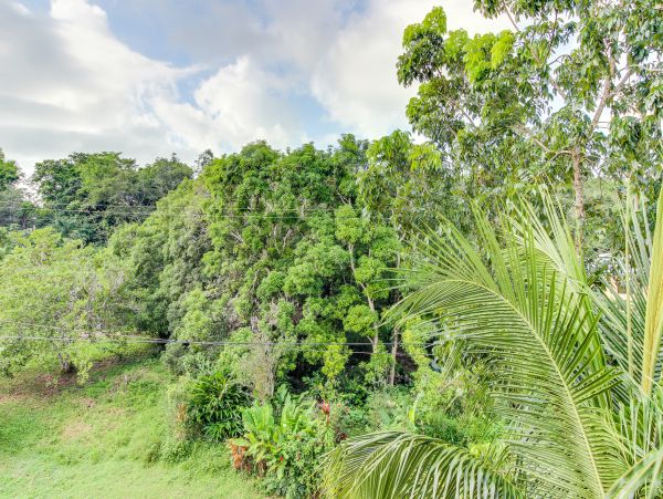 Ambergris Caye Home 1008158
