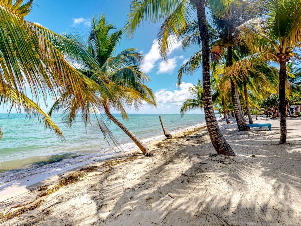 Ambergris Caye Home 1008159