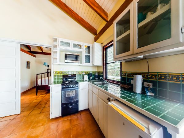 Ambergris Caye Home 1008178