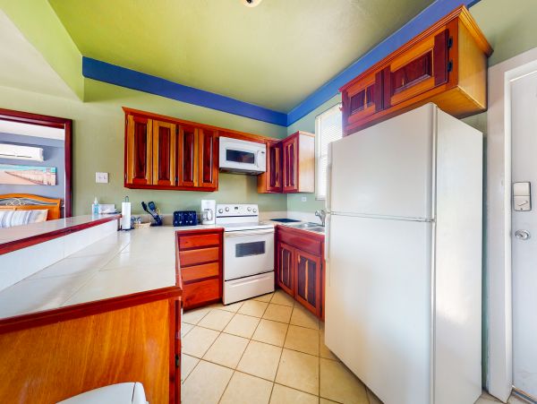 Ambergris Caye Home 1008179