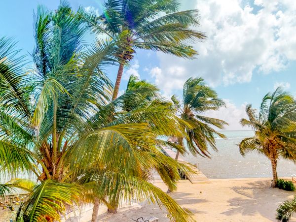 Ambergris Caye Home 1008187