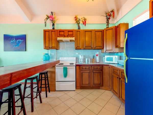 Ambergris Caye Home 1008190