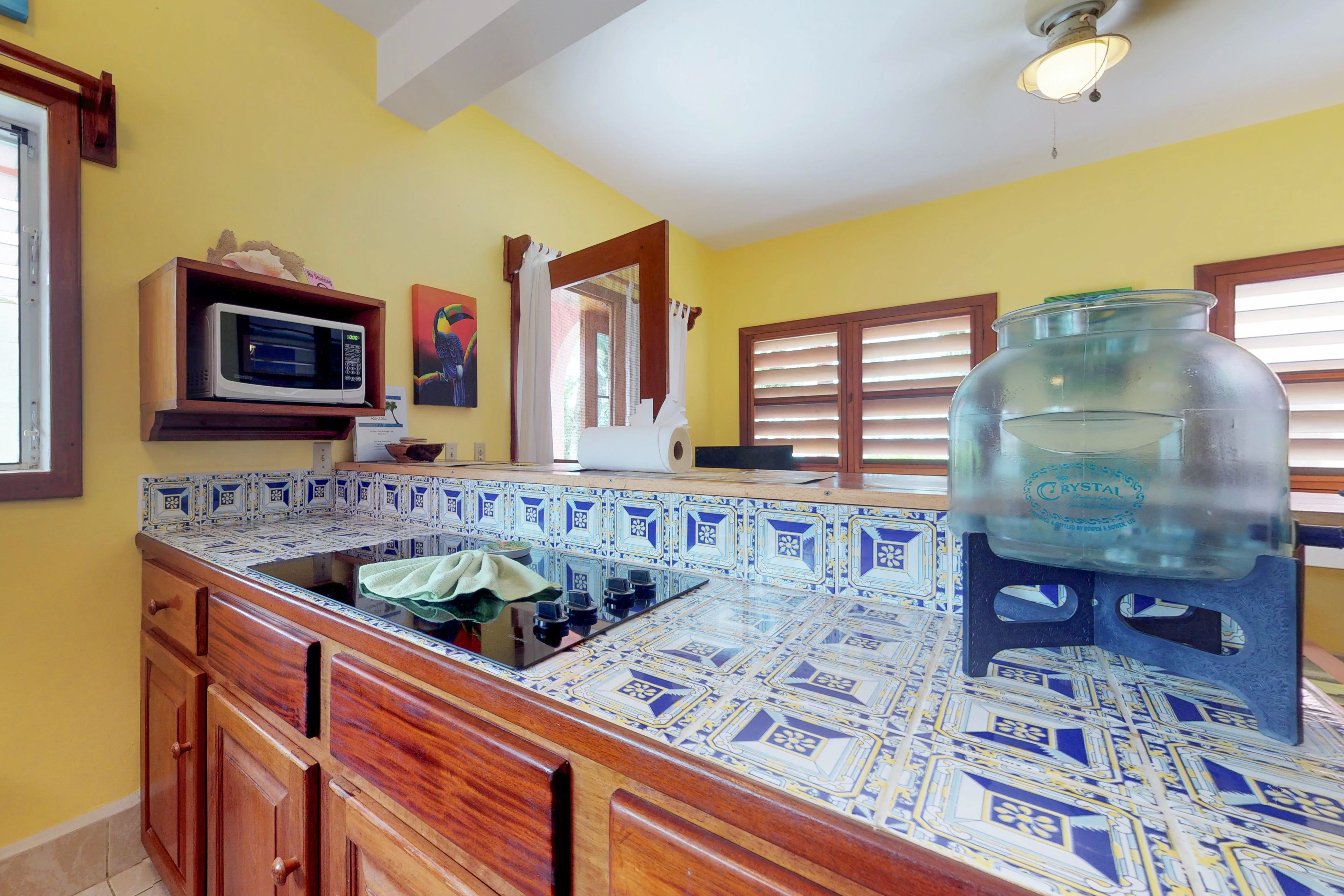 Ambergris Caye Home 1008208