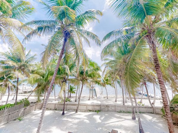 Ambergris Caye Home 1008213