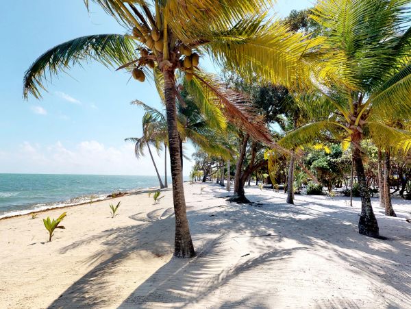 Ambergris Caye Home 1008221
