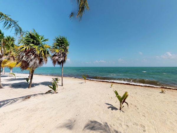 Ambergris Caye Home 1008221