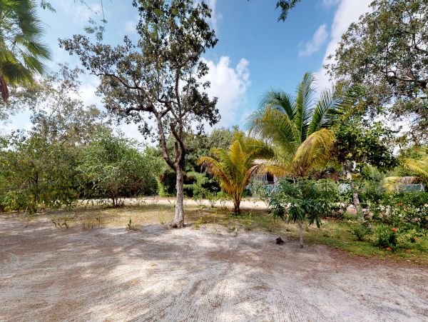 Ambergris Caye Home 1008221