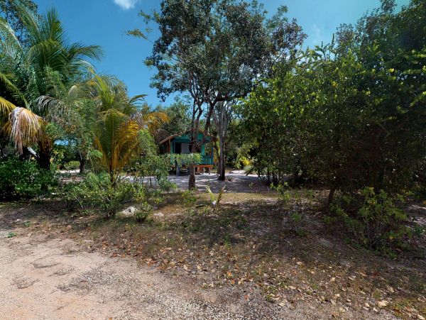 Ambergris Caye Home 1008221