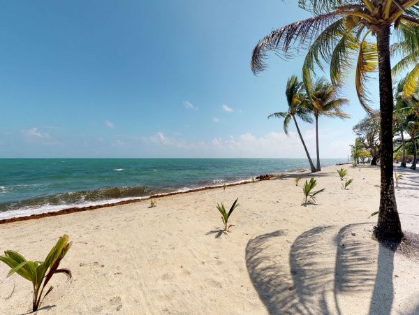Ambergris Caye Home 1008221