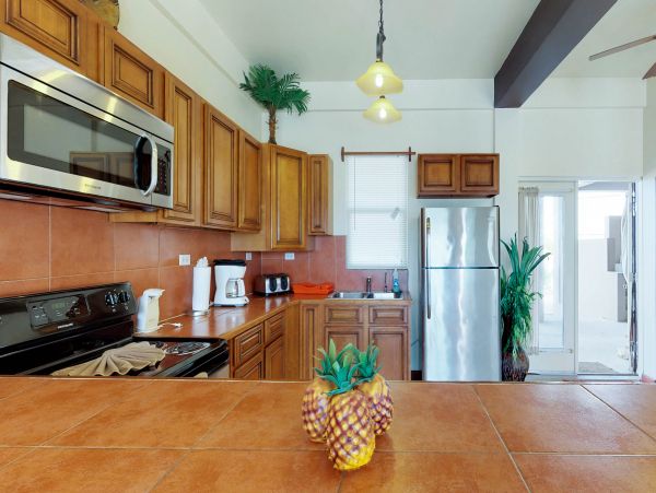 Ambergris Caye Home 1008229