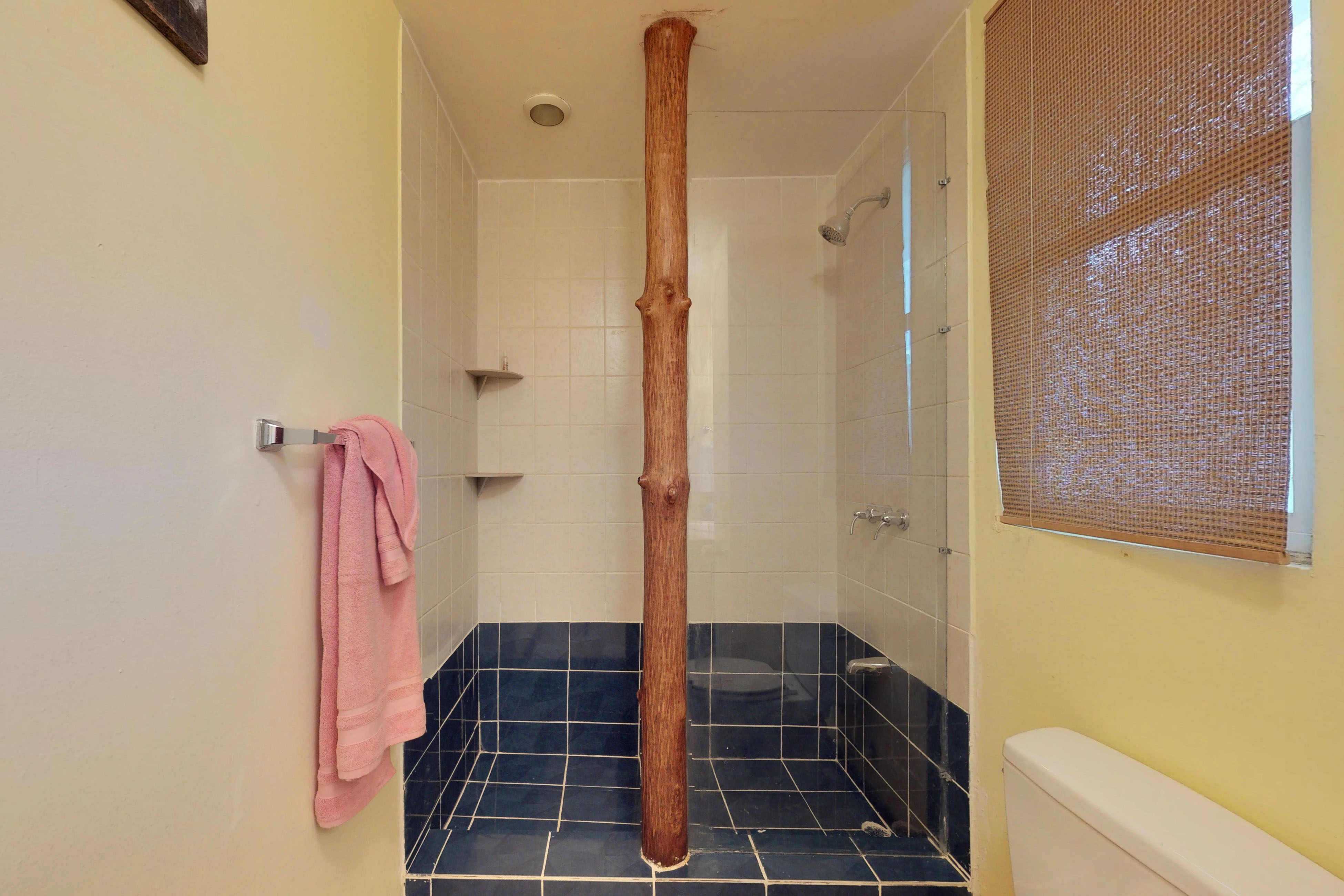Ambergris Caye Home 1008244