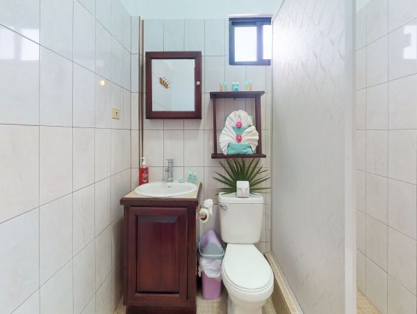 Ambergris Caye Home 1008247