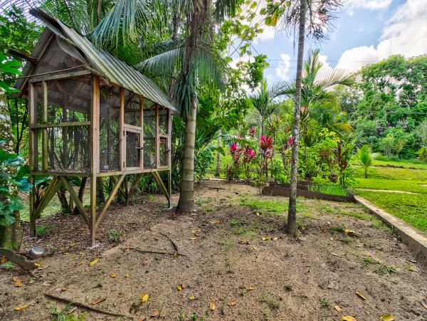 Ambergris Caye Home 1008259