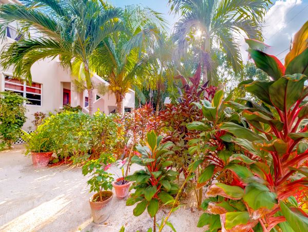 Ambergris Caye Home 1008261