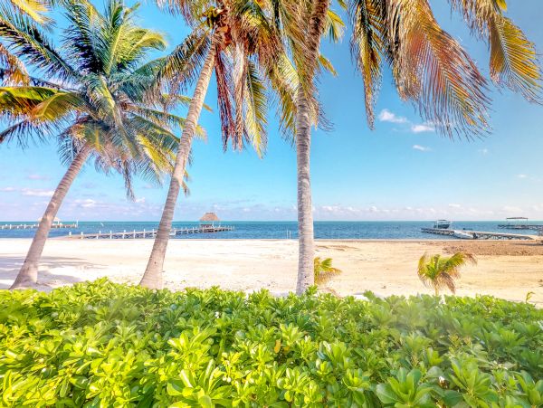 Ambergris Caye Home 1008261