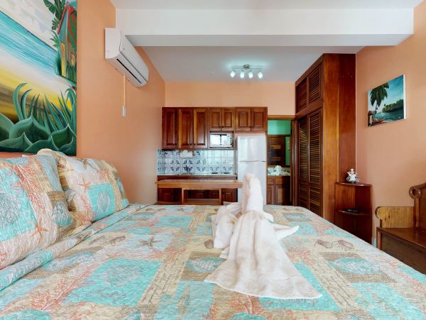 Ambergris Caye Home 1008262