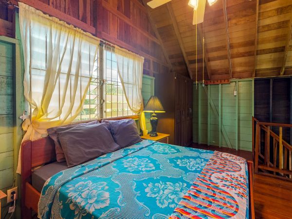 Ambergris Caye Home 1008298