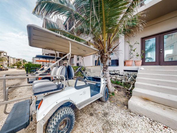 Ambergris Caye Home 1008303