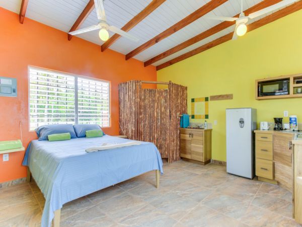 Ambergris Caye Home 1008309