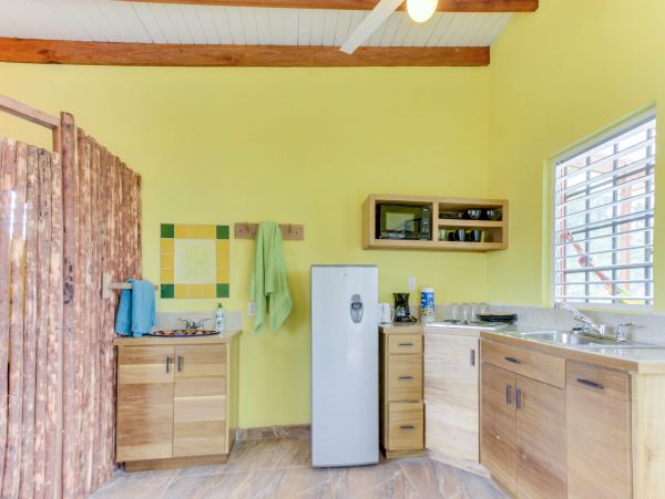 Ambergris Caye Home 1008309