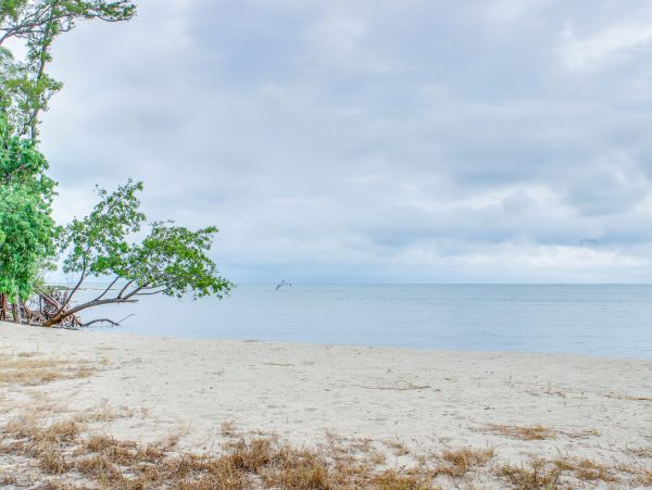 Ambergris Caye Home 1008309