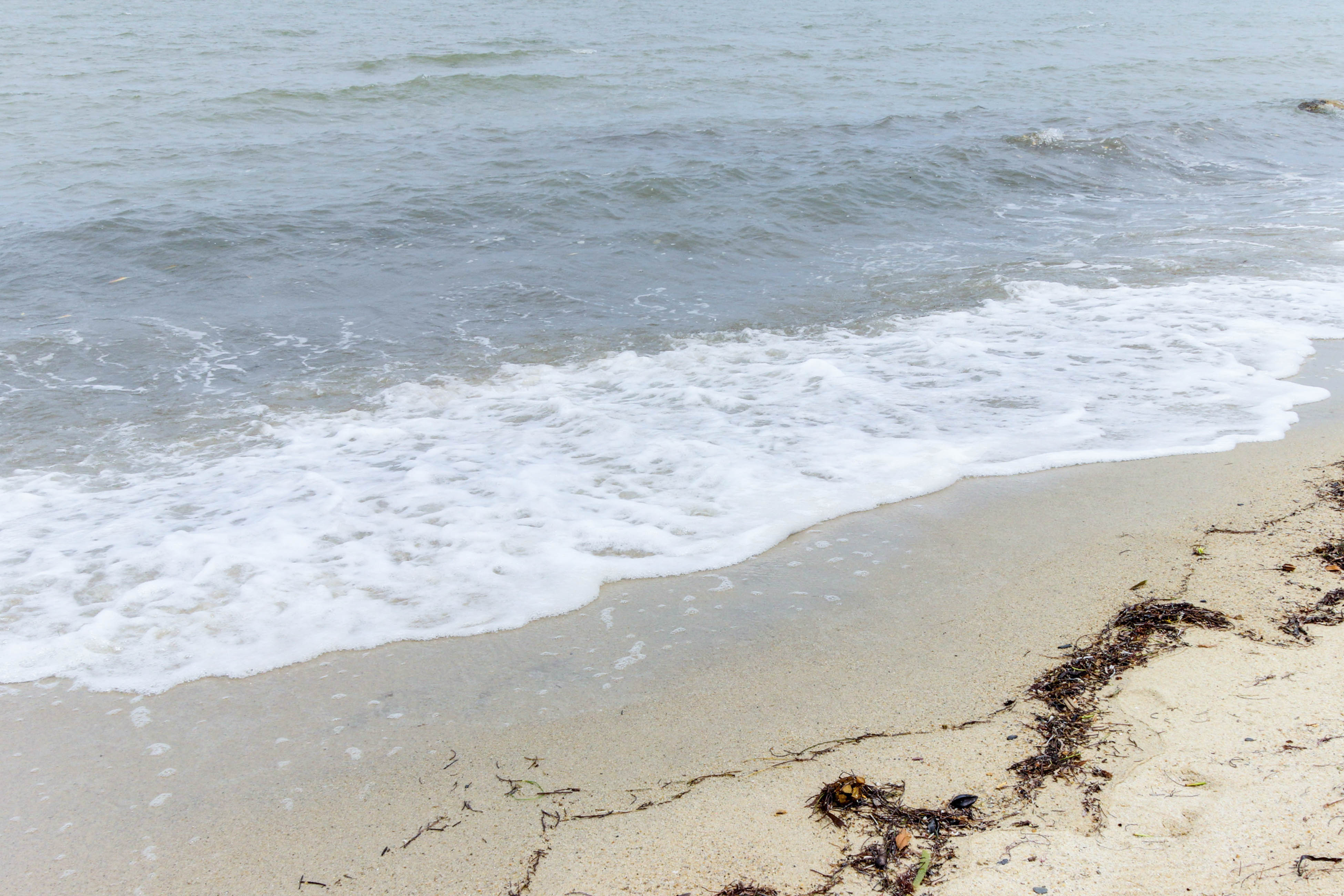 Ambergris Caye Home 1008309