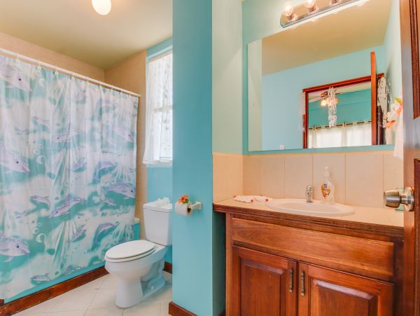 Ambergris Caye Home 1008317