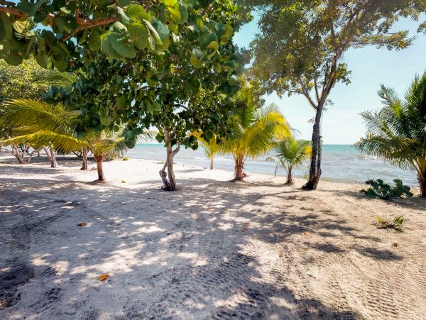 Ambergris Caye Home 1008320