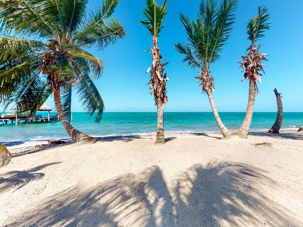 Ambergris Caye Home 1008323
