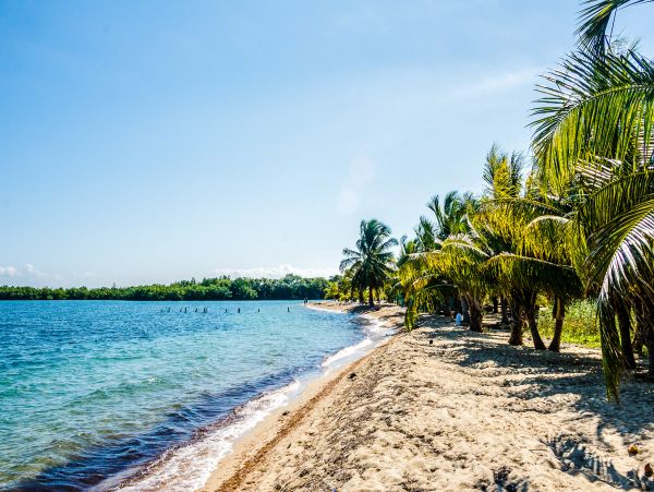 Ambergris Caye Home 1008329