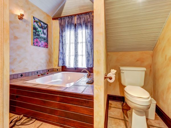 Ambergris Caye Home 1008333