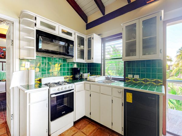Ambergris Caye Home 1008336