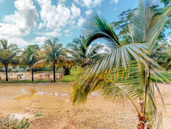 Ambergris Caye Home 1008342