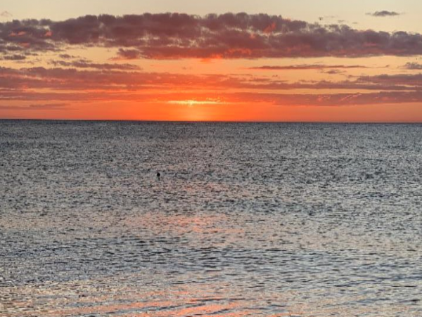 Charming 2 Bedroom Vacation Duplex Just a Few Steps to Beach