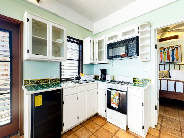 Ambergris Caye Home 1008356
