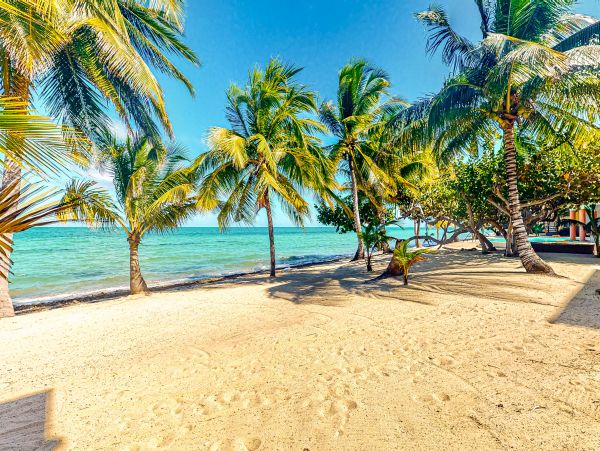 Ambergris Caye Home 1008356