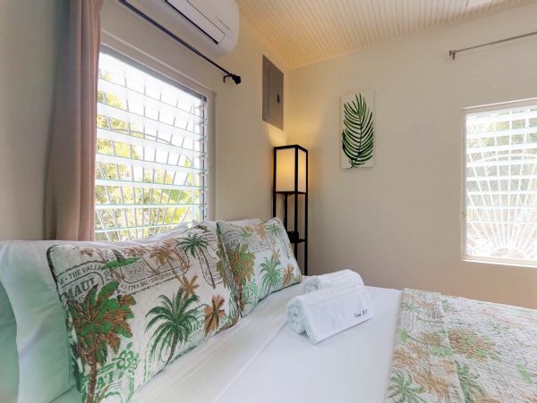 Ambergris Caye Home 1008359