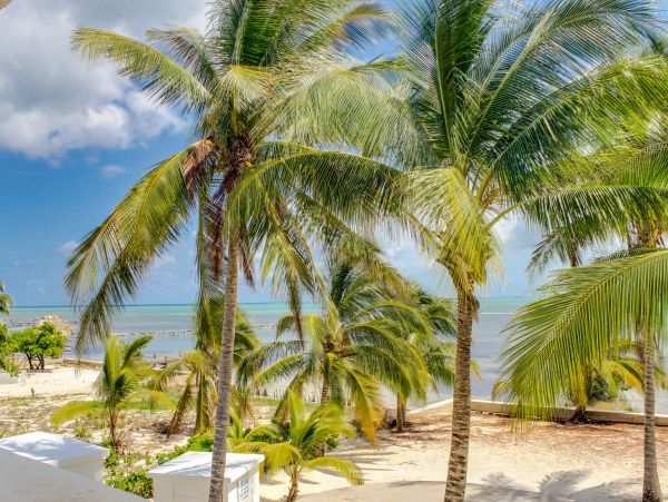 Ambergris Caye Home 1008370