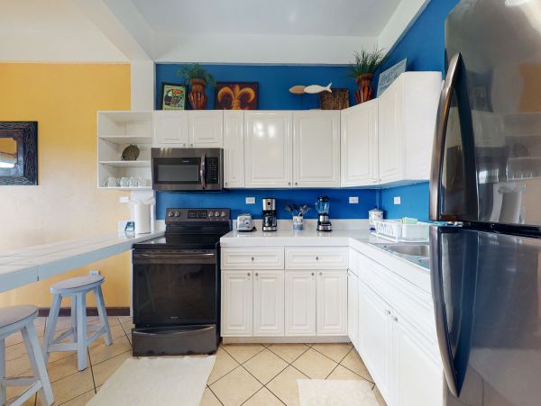 Ambergris Caye Home 1008371