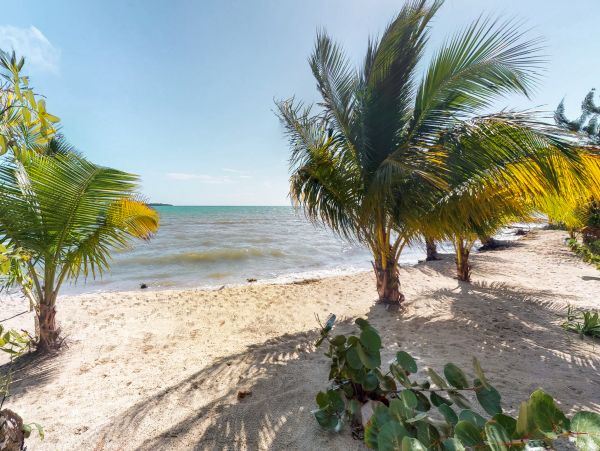 Ambergris Caye Home 1008373
