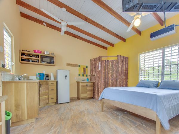 Ambergris Caye Home 1008375